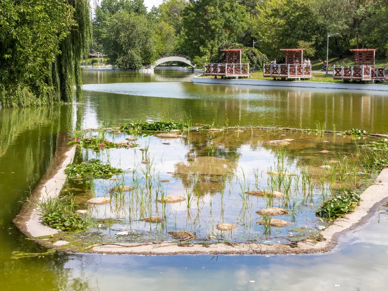 City Park St. George